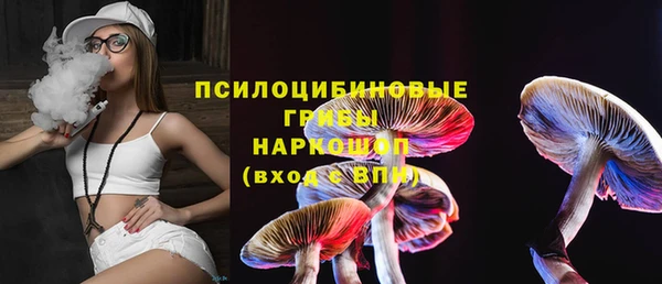 дмт Каменногорск