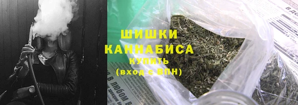 сатива Каменка