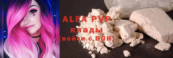 сатива Каменка