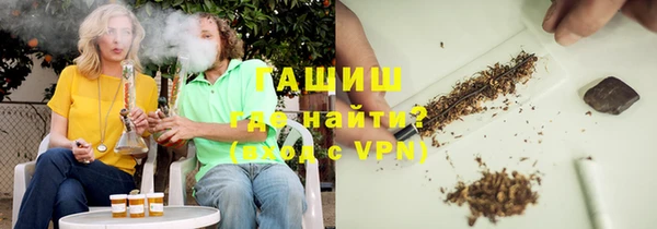 сатива Каменка