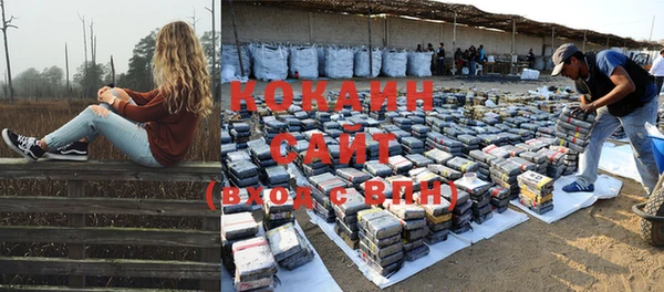сатива Каменка