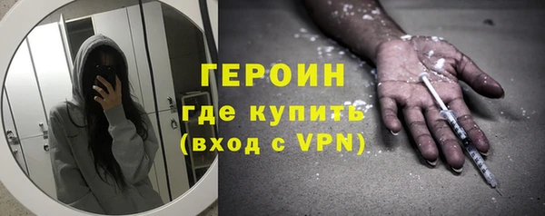 сатива Каменка