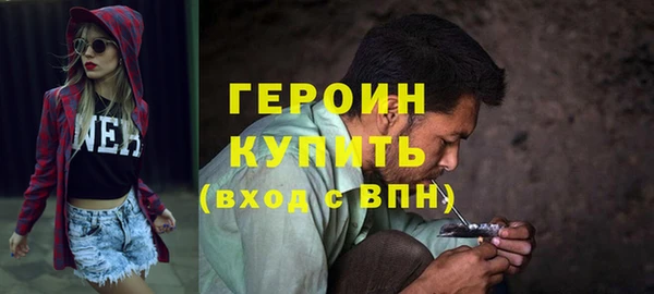 сатива Каменка