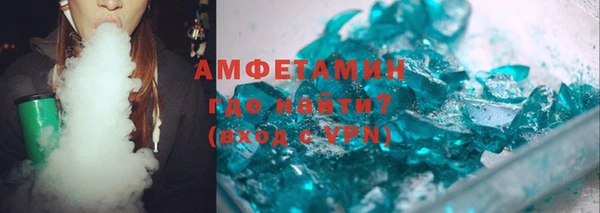 сатива Каменка