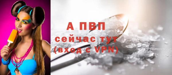 дмт Каменногорск
