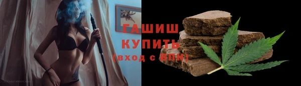 сатива Каменка