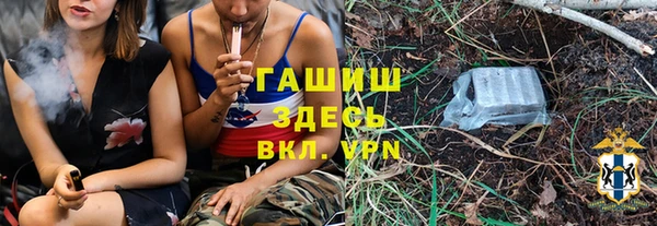 сатива Каменка