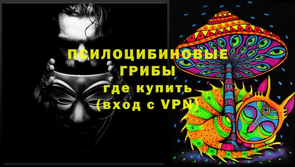 сатива Каменка