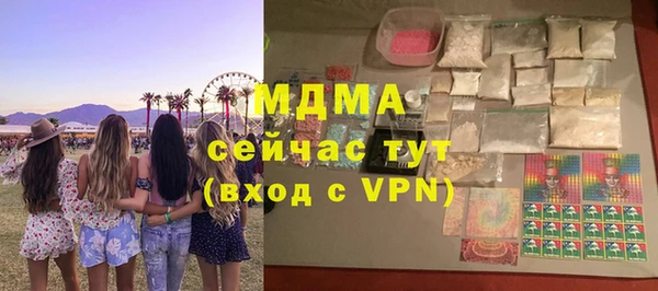 сатива Каменка