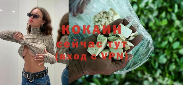 дмт Каменногорск